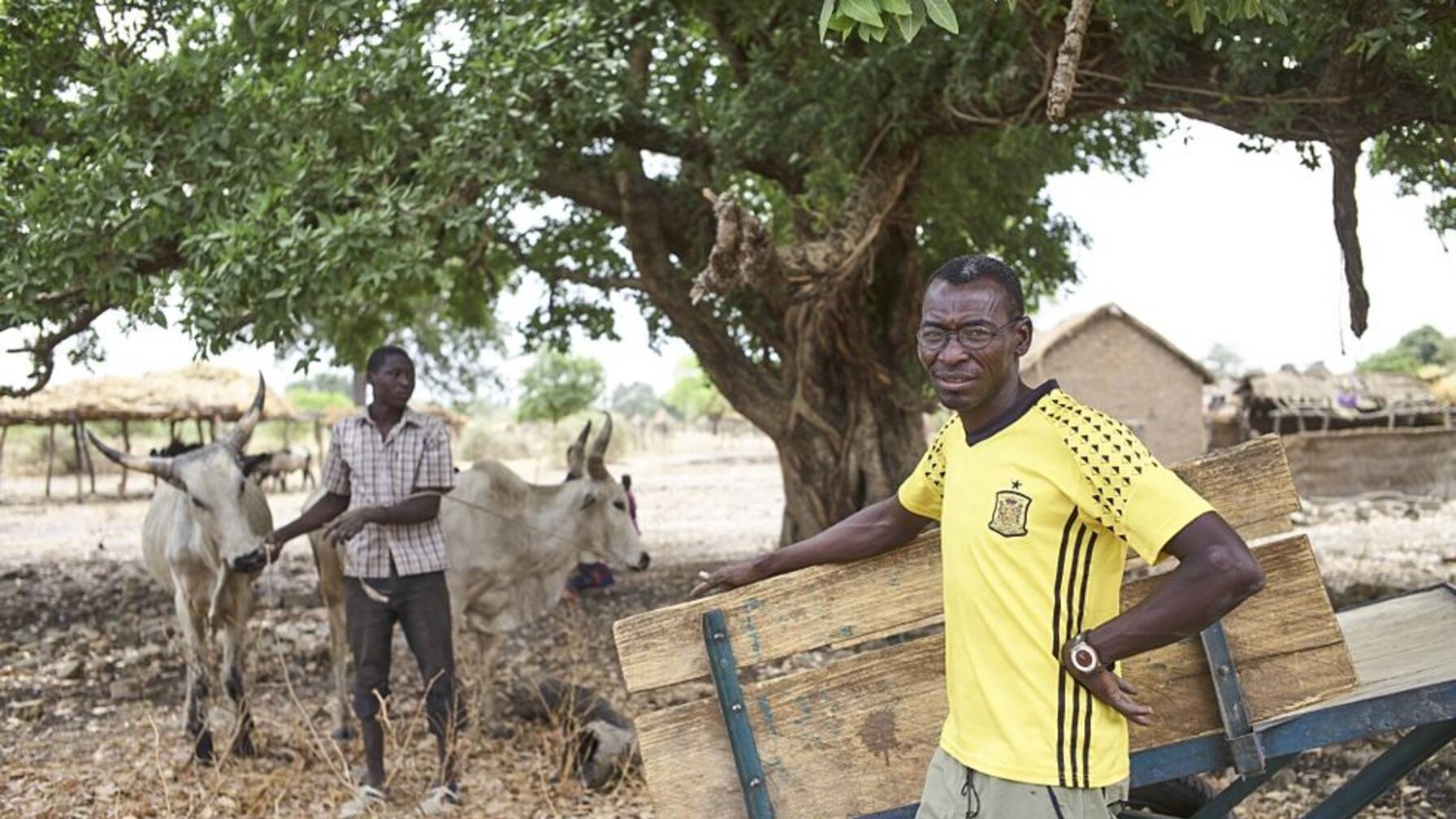 Grâce au projet, Ernest Nguetobaye (à droite) a pu acheter une charrette et des bœufs, ce qui facilite beaucoup son travail.
