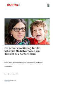Modellvorhaben am Beispiel des Kantons Bern