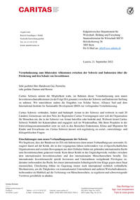 Im Mai 2022 haben die Schweiz und Indonesien ein neues Investitionsschutzabkommen unterzeichnet. Erstmals kommt darin ein Verhandlungsansatz zum Einsatz, mit welchem die Schweiz versucht, den Investitionsschutz mit den Zielen der nachhaltigen Entwicklung zusammenzubringen. Damit hat das Abkommen einen wegweisenden Charakter für ähnliche Verträge, die in Zukunft folgen werden. Bevor das Abkommen ratifiziert werden kann, wurde es vom Bundesrat in die Vernehmlassung geschickt. Caritas Schweiz nimmt die Möglichkeit wahr, sich zu diesem wichtigen Thema der Schweizer Aussenhandelspolitik zu äussern – und Nachbesserungen im Abkommen zu fordern.