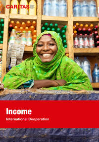 Combating the Core Problems of Poverty