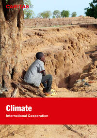 Climate Change Adaptation and Energy Efficiency