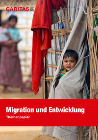 Die Expertise von Cartias Schweiz