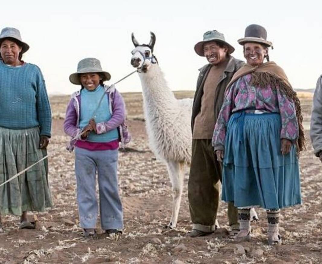 Sechsköpfige Familie in den Anden mit zwei Lamas.