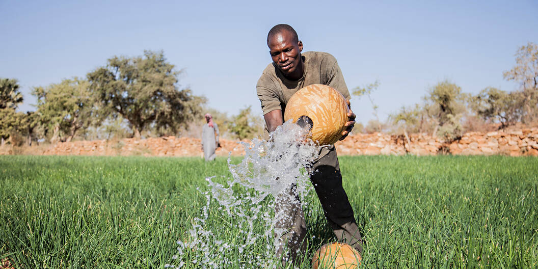 Mamadou Tapily aus Mali bewässert sein Feld
