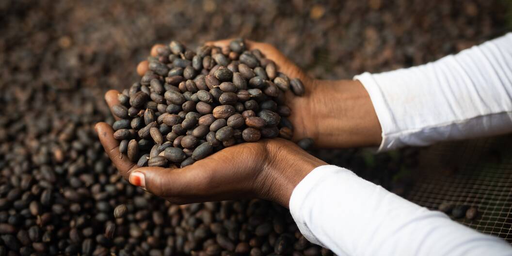 Kaffeeverarbeitung in Äthiopien