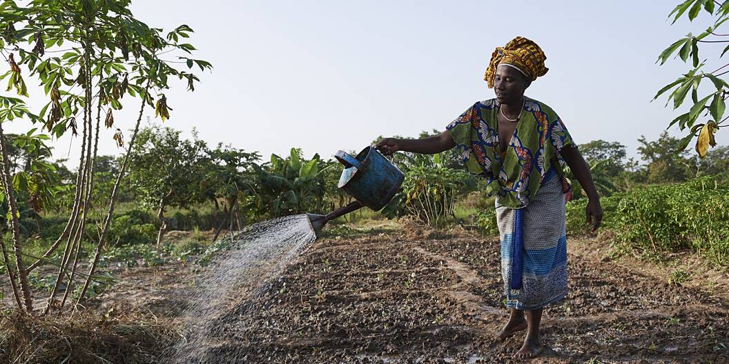 Eine Frau bewässert ihren Gemüsegarten mit einer Giesskanne in Yanfolila, Mali.