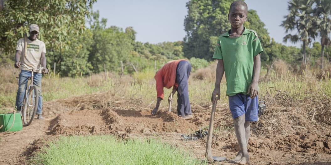 Ernährungssicherheit trotz Klimawandel - ökologischer Anbau in Uganda 